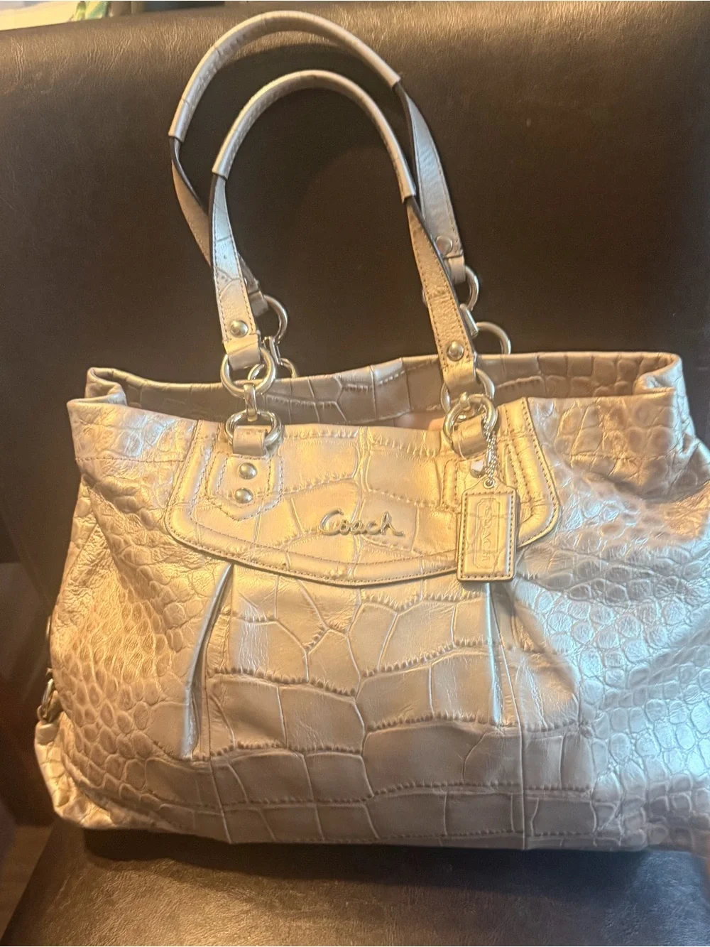 Coach satchel metallic